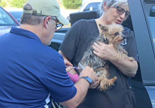 Veterinarians administer rabies vaccine at Drive-Through Rabies Vaccination Clinic