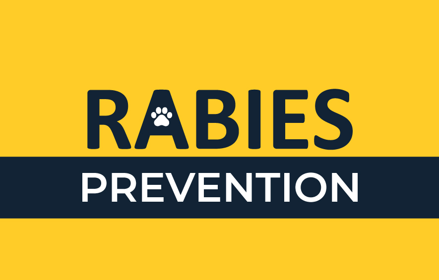 Rabies Prevention